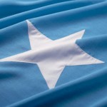 Case Study: Somalia