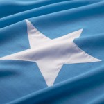 Case Study: Somalia