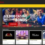 Starburst book of ra free spins no deposit Slot machine game