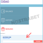 7 Best Online play bingo online for real money canada gambling Internet sites