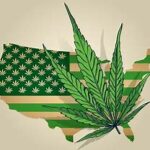 Why No One Is Talking About Marijuana Legalization