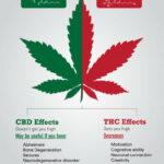 Some Known Questions About Cbd Vs. Thc: What’s The Difference?.