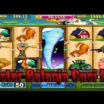 Pay By Cellular phone Casino 2023