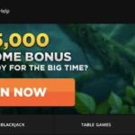 White Orchid deposit 5£ get 80 spins Casino slot games