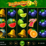 2024 Monster casino great ocean platipus Casino On the web Review