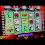 Roh Casino desert treasure 2 Spielautomat Rückblick 2024