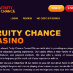 Bonusblitz Casino No deposit Incentives