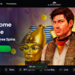 The new 3 hundred 100 percent free Spins No-deposit